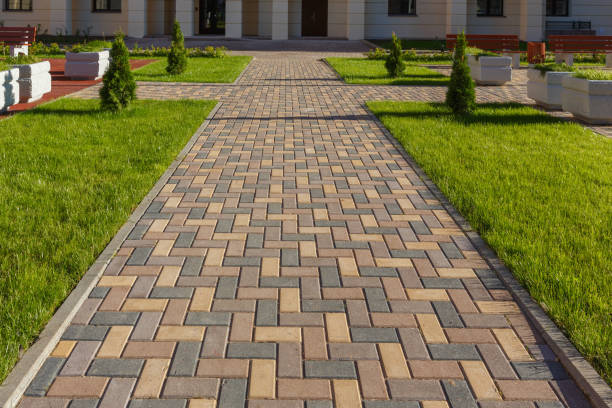 Best Custom Driveway Pavers  in Jesup, GA